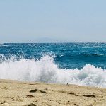 mare